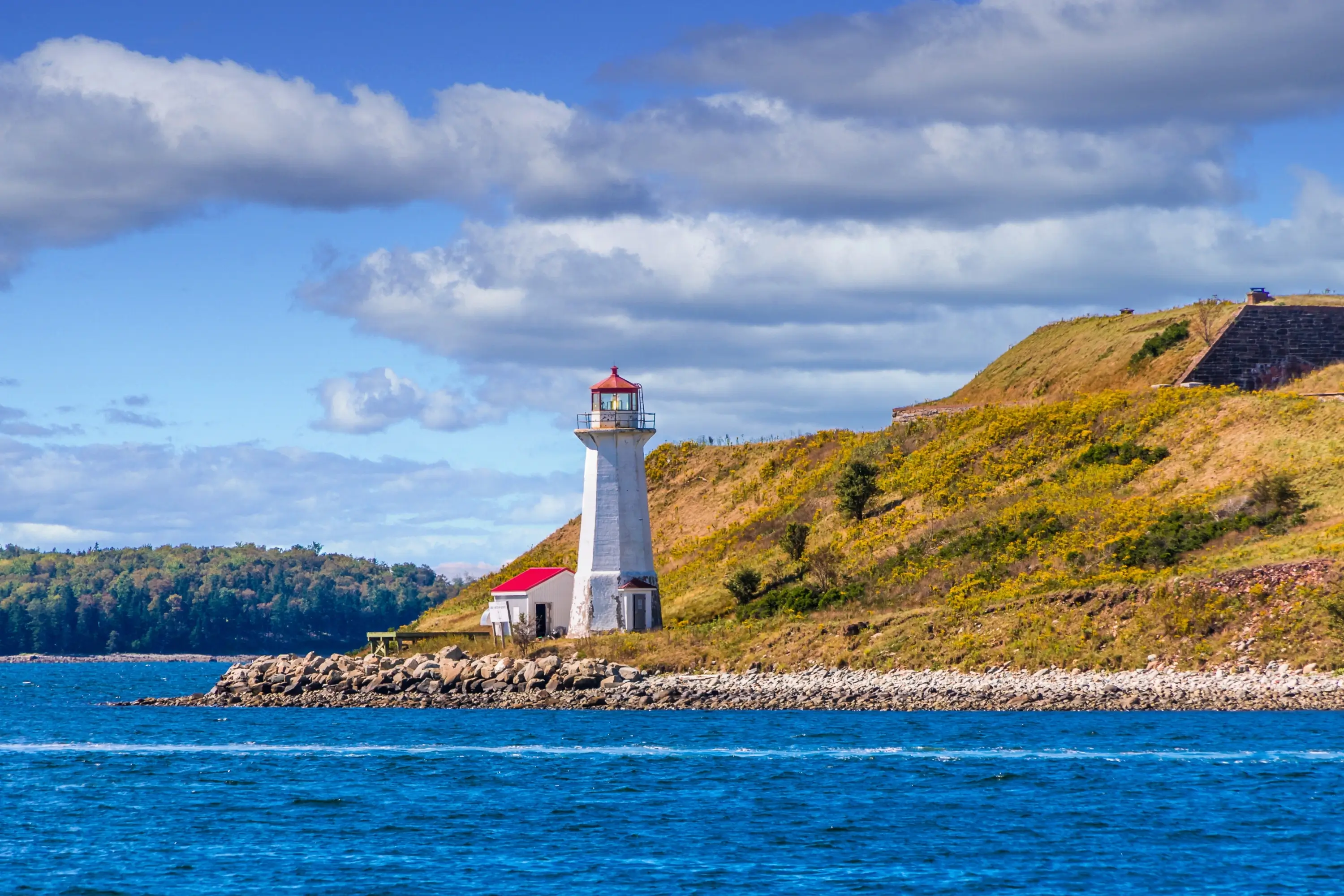 Saint Mary's University Information Session